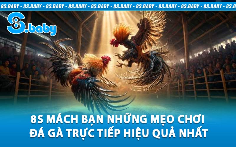 đá gà trực tiếp